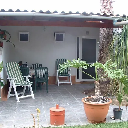 La Gaviota - Flores *