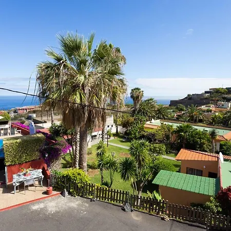 La Gaviota - Flores Lägenhet Icod De Los Vinos