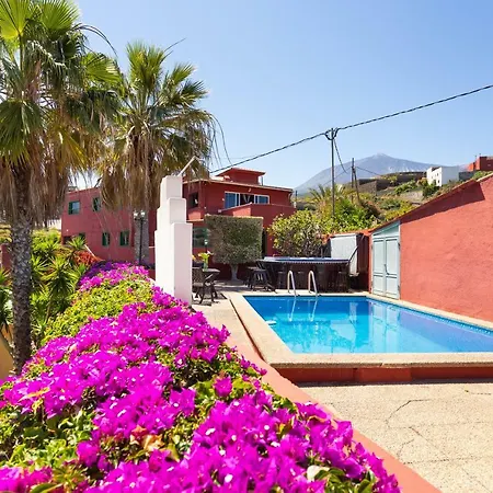 La Gaviota - Flores